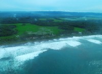 Salah satu hal yang membuat para wisatawan betah di sini adalah suasana yang asri, seperti persawahan yang luas dan garis pantai yang panjang (Shafa/detikTravel)