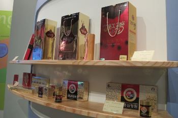 Lebih Greng dengan Aneka Olahan Ginseng