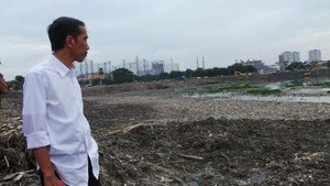 Didatangi Jokowi, Ini Wajah Waduk Pluit Terkini