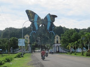 Kerajaan Kupu-kupu di Maros, Bagaikan Dunia Peri