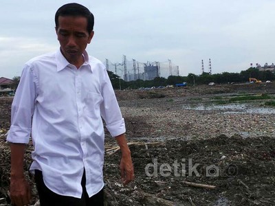 Jokowi Tinjau Waduk Pluit Bersih