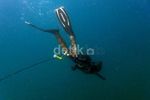 Spearfishing, Cara Ramah Berburu Ikan