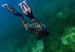 Spearfishing, Cara Ramah Berburu Ikan