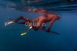 Spearfishing, Cara Ramah Berburu Ikan