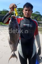 Spearfishing, Cara Ramah Berburu Ikan