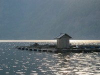 Sinar matahari itu kemudian menyinari tiap sudut Danau Batur, menerangi keramba nelayan yang berada di tengah danau. Ikan air tawar tersebar di seluruh penjuru danau, termasuk ikan mas dan gurame yang besar-besar. (Sastri/ detikTravel)