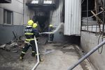 Rumah Pemotongan Hewan Terbakar, 120 Pekerja Tewas
