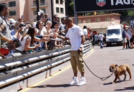 Hamilton Diminta Fokus ke Balapan, Bukan Bawa Anjingnya Jalan-jalan