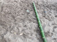 Yang unik, ruas bambu untuk dimainkan sebagai bambu gila harus berjumlah ganjil. Kalau ruasnya tidak ganjil, bambu tersebut tidak bisa menjadi gila (Afif/detikTravel)