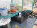 Baru Sah ke Pantai Losari Kalau Sudah Makan Pisang Epe