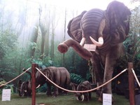 Berbagai binatang dari Afrika dan hidup di hutan hujan tropis seperti gajah, jerapah, kuda nil, rusa, impala, wildbeest dapat dijumpai secara langsung di wahana ini. Saat masuk ke dalam wahana ini, pengunjung pertama akan diajak untuk berfoto dengan latar belakang boneka singa, mooses (rusa Amerika) dan kijang (Avi/detikTravel)