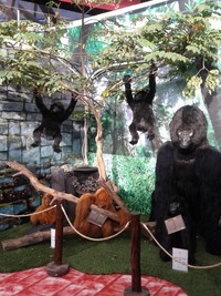 Keluarga monyet dan gorila. Masuk ke kebun binatang boneka ini cukup membayar Rp 40 ribu dan akan mendapatkan satu frame foto gratis bersama boneka binatang (Avi/detikTravel)