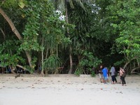 Pulau Waigeo adalah pintu masuk Raja Ampat, sekaligus salah satu pulau yang paling banyak penghuninya. Di sini juga ada Pantai Waiwo yang punya pasir putih dengan garis pantai yang panjang (Afif/detikTravel)