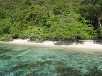 Di Pianemo, salah satu gugusan pulau karang juga Anda bisa temui banyak pantai berpasir putih. Pantainya tersebar di tiap pulau (Afif/detikTravel)