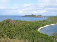 Anda bisa naik ke salah satu puncak pulau di Pianemo untuk melihat gugusan pulau. Tak ketinggalan, pantai pasir putih yang bagaikan garis pun terlihat jelas (Afif/detikTravel)