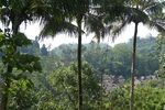 Potret Kampung Naga yang Mulai Disentuh Modernisasi