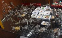 Wirework masih baru di Indonesia sehingga peluang bisnisnya sangat besar. Gus Mun/detikFoto.
