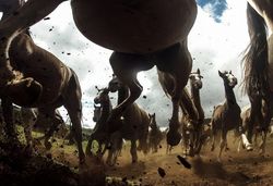 Mengintip Karya Menawan Kontes Foto National Geographic