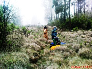 Ditelan Kabut dan Suasana Mistis di Gunung Argopuro