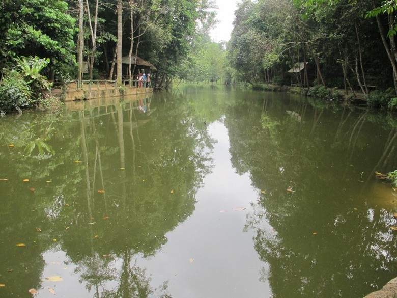 Kolam alami penuh arwana di Hutan Wisata Mata Kucing, Batam (Sastri/ detikTravel) Kolam alami penuh arwana di Hutan Wisata Mata Kucing, Batam (Sastri/ detikTravel)