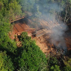 Korupsi di Tambang dan Perkebunan, Negara Rugi Triliunan Rupiah