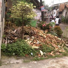 Selokan Mampet dan Sampah Dedaunan Menumpuk di Puskesmas Grogol Utara
