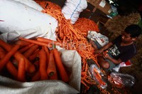 Seperti terlihat di Pasar Induk Kramatjati, Jakarta, Jumat (14/6/2013).