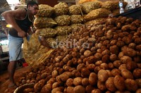 Harga kentang juga naik dari Rp 7-8 ribu per kg menjadi Rp 10 ribu per kg. Bahkan, jengkol yang saat ini ramai jadi pembicaraan di tengah masyarakat, harganya di pasar Jakarta mencapai Rp 40 ribu per kg.