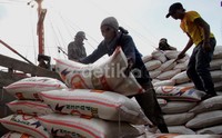 Seorang pekerja sedang menumpuk dan mengatur beras di Pelabuhan Sunda Kelapa.