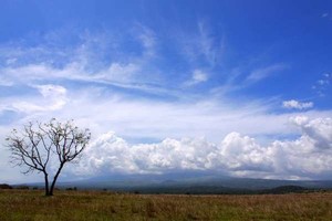 Ini Alasan Anda Untuk Datang ke Pulau Sumbawa