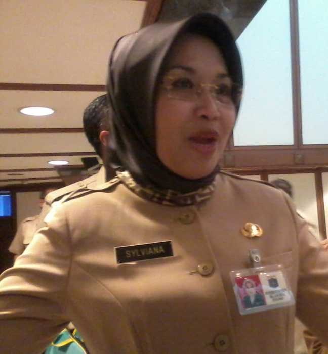 Ini Konsep Car Free Night HUT DKI 22 Juni