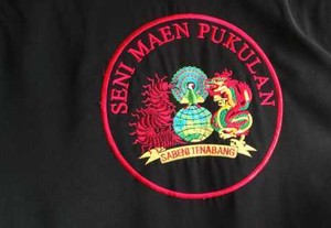 Jurus Seni Maen Pukulan Sabeni: Naga Ngerem hingga Kelabang Nyebrang