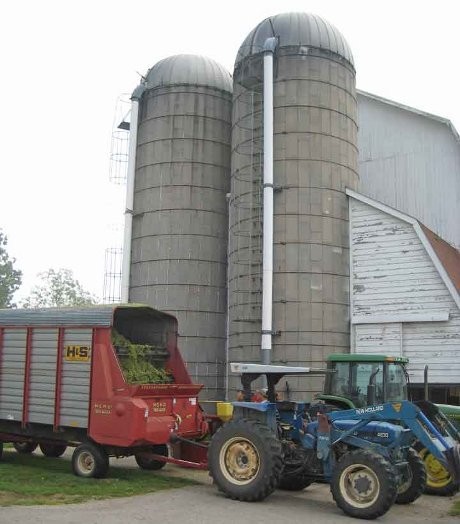 Jatuh ke Lumbung Gandum, 3 Pria Belanda Tewas