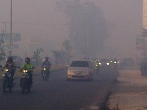 Bandara SSK Pekanbaru Terganggu Asap, Jarak Pandang di Bawah 500 Meter