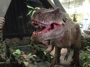 Heboh! TMII Pelihara Dinosaurus T-Rex