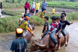 Kandank Jurank Doank, Liburan Sekolah Tidak Pernah Seasyik Ini
