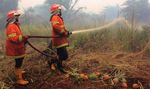 Hutan Terbakar, Riau Kembali Ekspor Asap