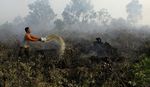 Hutan Terbakar, Riau Kembali Ekspor Asap
