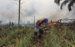Hutan Terbakar, Riau Kembali Ekspor Asap