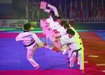 Taekwondoin Korsel Unjuk Gigi di Senayan