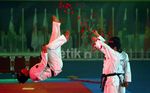 Taekwondoin Korsel Unjuk Gigi di Senayan