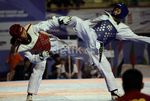 Taekwondoin Muda Berjuang Raih Prestasi