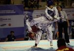 Taekwondoin Muda Berjuang Raih Prestasi