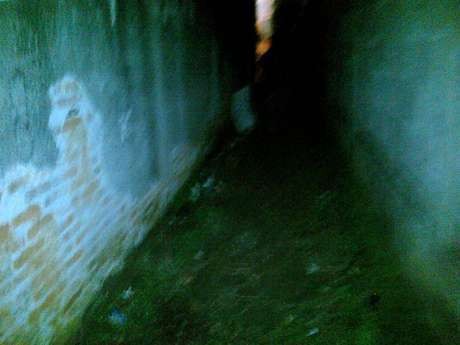 Masih Trauma, Wartawati Korban Perkosaan Belum Maksimal Diperiksa