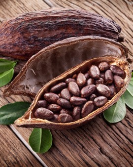 Inilah Perjalanan Biji Cokelat Hingga Menjadi Cokelat Batangan Siap Santap!