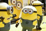 Bertabur Minions di Premiere Despicable Me 2