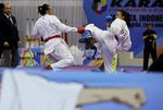 Indonesia Juara Umum WKF Premier League 2013
