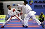 Indonesia Juara Umum WKF Premier League 2013