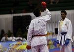 Indonesia Juara Umum WKF Premier League 2013