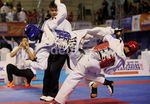 3 Taekwondoin Putra Indonesia Gagal Raih Emas